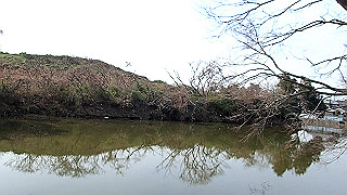 p2180557.mov_thumb.jpg