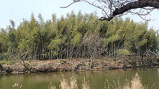 p2180558_thumb.jpg
