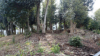 p2180561_thumb.jpg