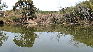 p2180566.mov_thumb.jpg