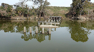 p2180568_thumb.jpg