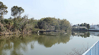 p2180572_thumb.jpg
