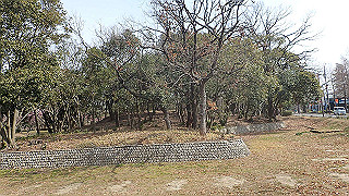 p2180584_thumb.jpg