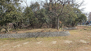 p2180585_thumb.jpg