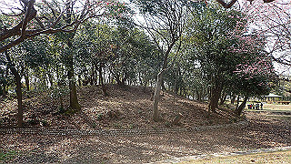p2180589_thumb.jpg