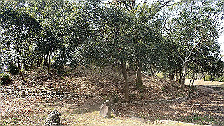 p2180590_thumb.jpg