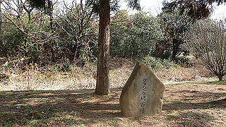 p2180591_thumb.jpg