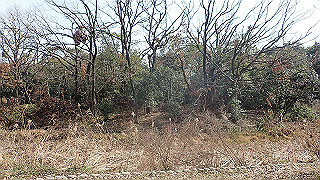 p2180592_thumb.jpg