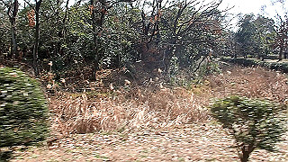 p2180593.mov_thumb.jpg