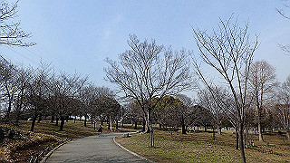 p2180595_thumb.jpg