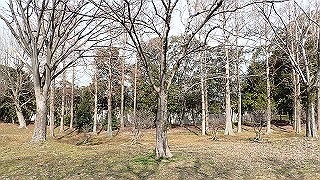p2180596_thumb.jpg