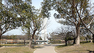 p2180598_thumb.jpg