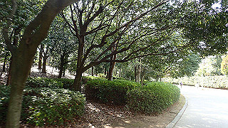p2180601_thumb.jpg