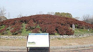 p2180605_thumb.jpg