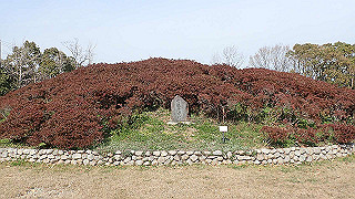 p2180607_thumb.jpg