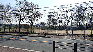p2180608_thumb.jpg