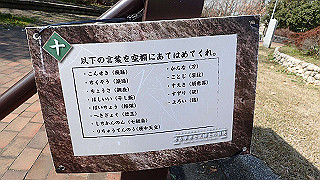 p2180609_thumb.jpg