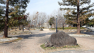 p2180615_thumb.jpg