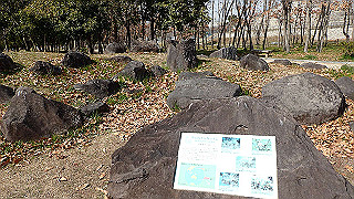 p2180618_thumb.jpg