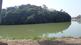 p2180620_thumb.jpg