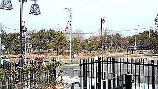 p2180625.mov_thumb.jpg