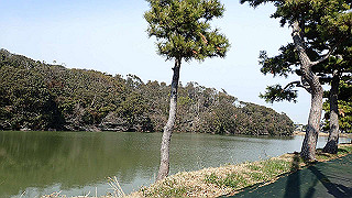 p2180627_thumb.jpg