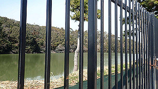 p2180629_thumb.jpg