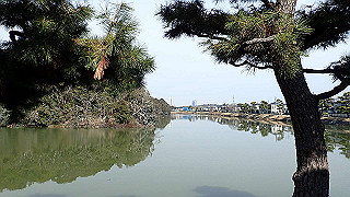 p2180638_thumb.jpg