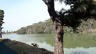 p2180639_thumb.jpg