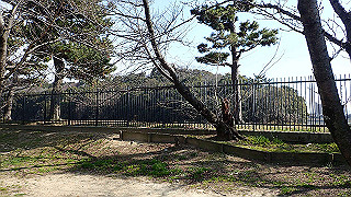 p2180645_thumb.jpg