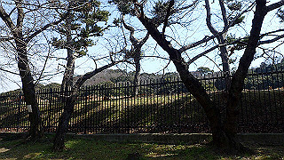 p2180647_thumb.jpg