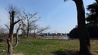 p2180649_thumb.jpg
