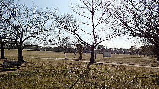 p2180665_thumb.jpg