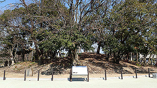 p2180667_thumb.jpg