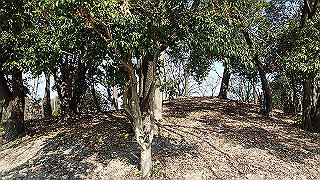 p2180669_thumb.jpg
