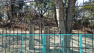 p2180674_thumb.jpg