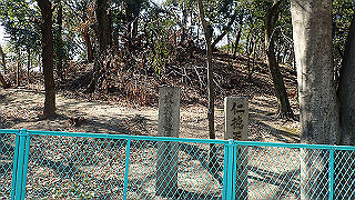 p2180676_thumb.jpg