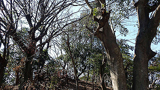 p2180677_thumb.jpg