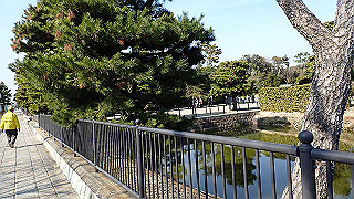 p2180690_thumb.jpg