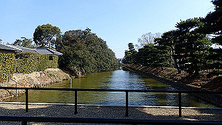 p2180692_thumb.jpg