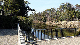 p2180697_thumb.jpg