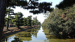 p2180699_thumb.jpg