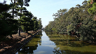 p2180700_thumb.jpg