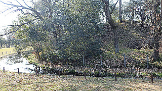 p2180708_thumb.jpg