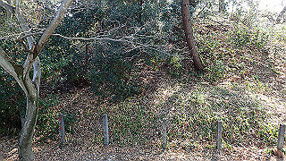 p2180710_thumb.jpg