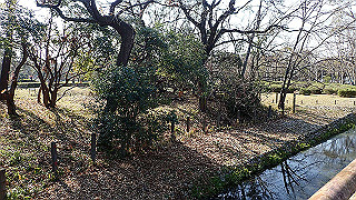 p2180711_thumb.jpg