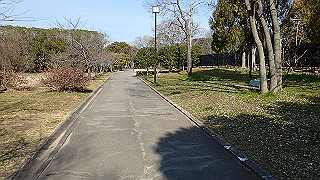 p2180725_thumb.jpg