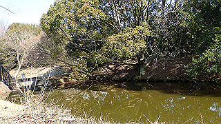 p2180728_thumb.jpg