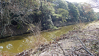 p2180729_thumb.jpg