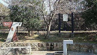 p2180730_thumb.jpg